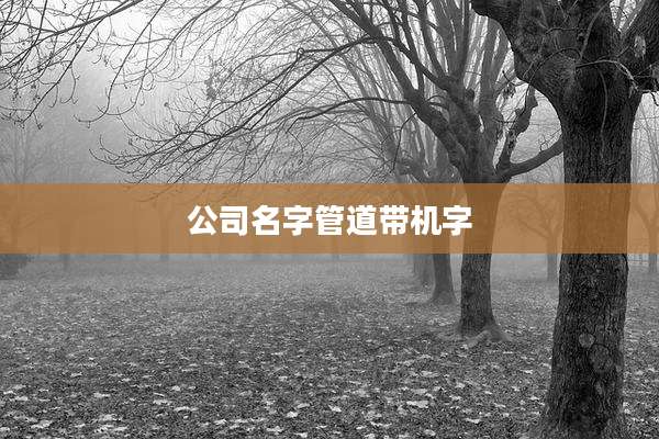 公司名字管道带机字