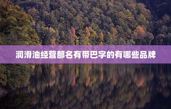 润滑油经营部名有带巴字的有哪些品牌