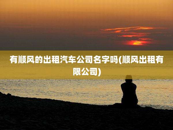 有顺风的出租汽车公司名字吗(顺风出租有限公司)