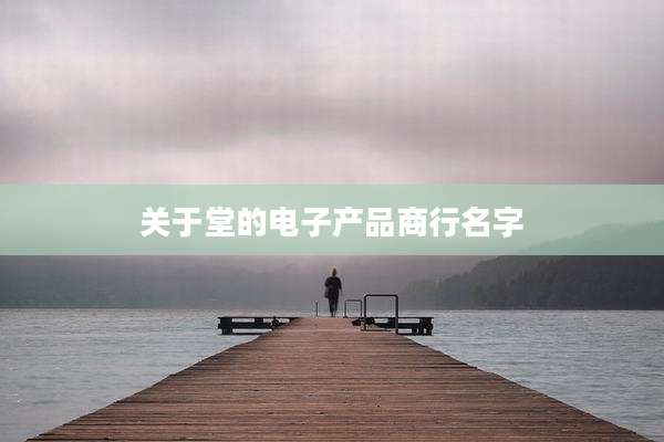 关于堂的电子产品商行名字