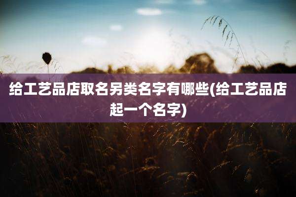 给工艺品店取名另类名字有哪些(给工艺品店起一个名字)