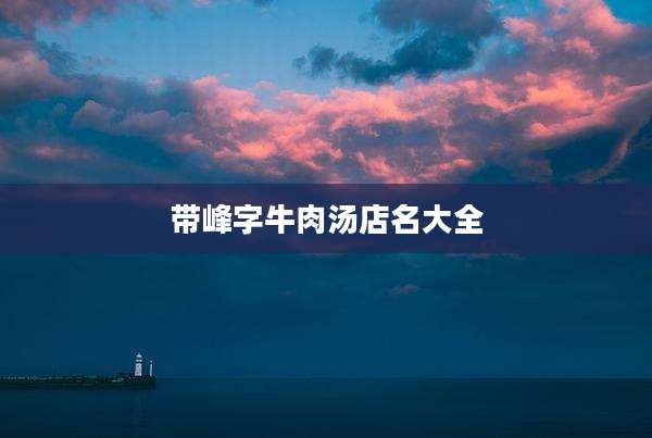 带峰字牛肉汤店名大全