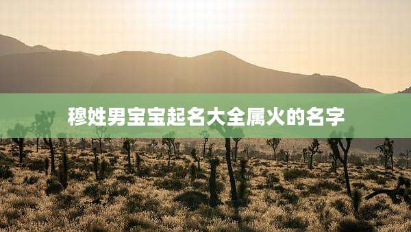 穆姓男宝宝起名大全属火的名字
