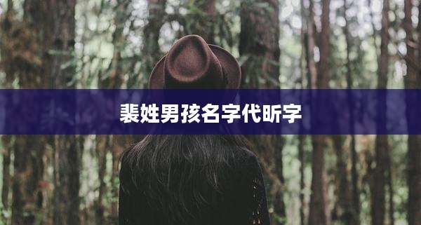 裴姓男孩名字代昕字