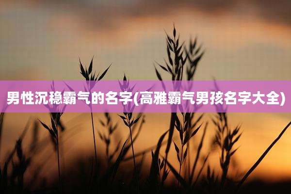 男性沉稳霸气的名字(高雅霸气男孩名字大全)
