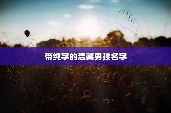 带纯字的温馨男孩名字