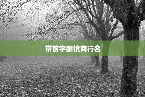 带前字眼镜商行名
