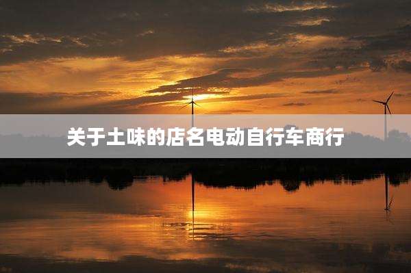 关于土味的店名电动自行车商行