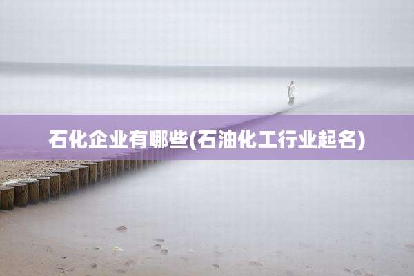 石化企业有哪些(石油化工行业起名)