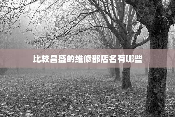 比较昌盛的维修部店名有哪些