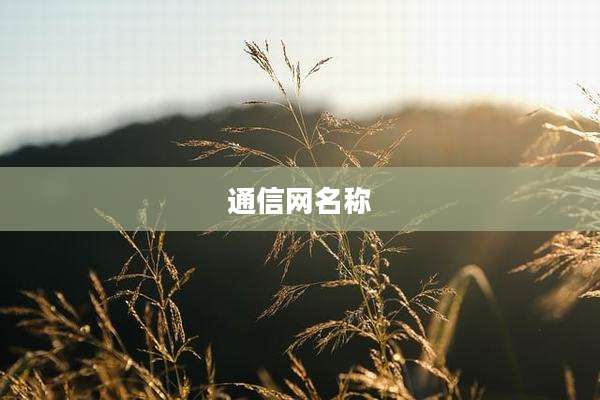 通信网名称