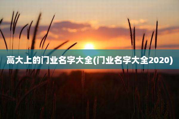 高大上的门业名字大全(门业名字大全2020)