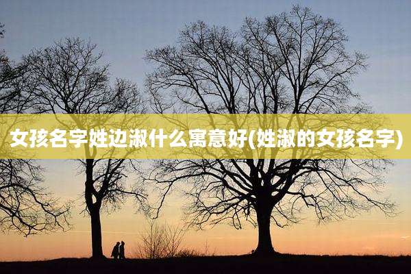 女孩名字姓边淑什么寓意好(姓淑的女孩名字)