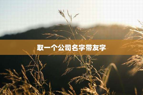 取一个公司名字带友字