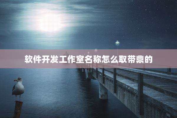软件开发工作室名称怎么取带鼎的