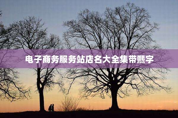 电子商务服务站店名大全集带熙字