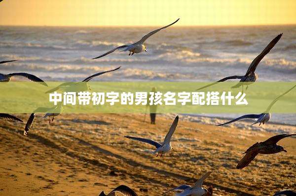 中间带初字的男孩名字配搭什么