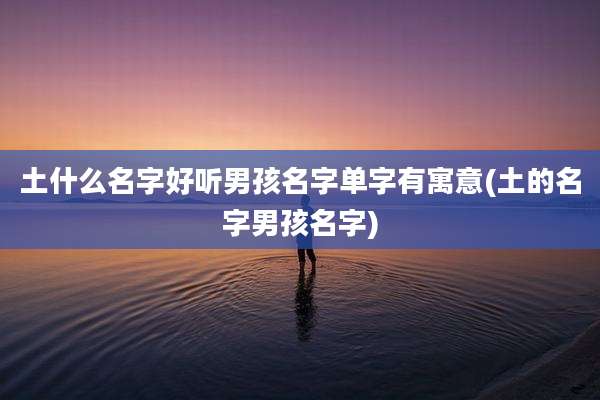 土什么名字好听男孩名字单字有寓意(土的名字男孩名字)