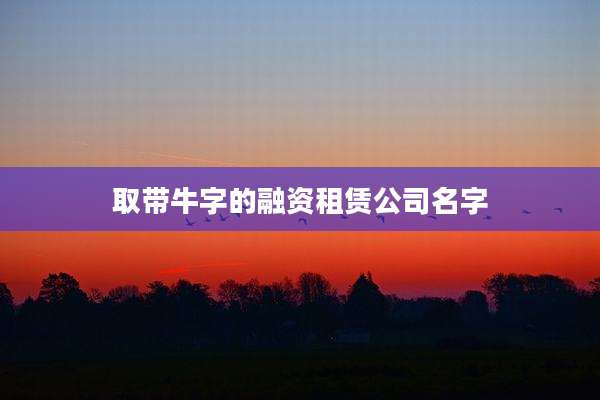 取带牛字的融资租赁公司名字