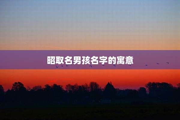 昭取名男孩名字的寓意