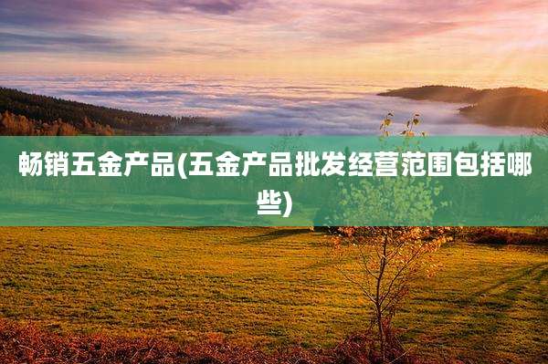 畅销五金产品(五金产品批发经营范围包括哪些)