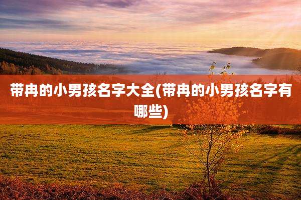 带冉的小男孩名字大全(带冉的小男孩名字有哪些)