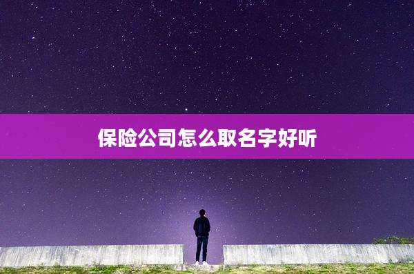保险公司怎么取名字好听