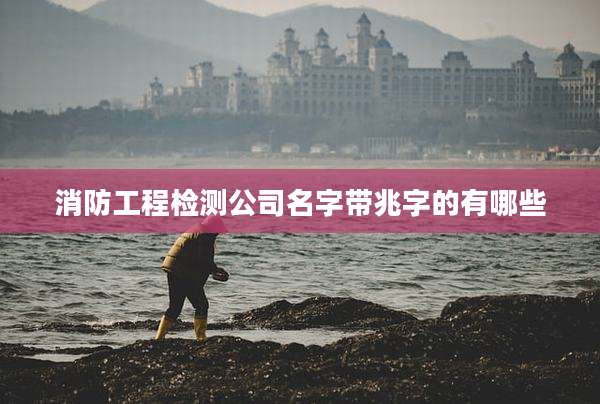 消防工程检测公司名字带兆字的有哪些