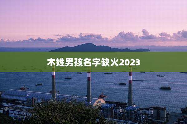 木姓男孩名字缺火2023