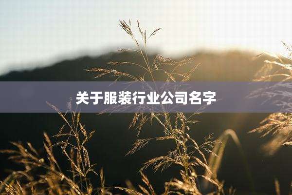 关于服装行业公司名字