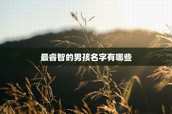 最睿智的男孩名字有哪些