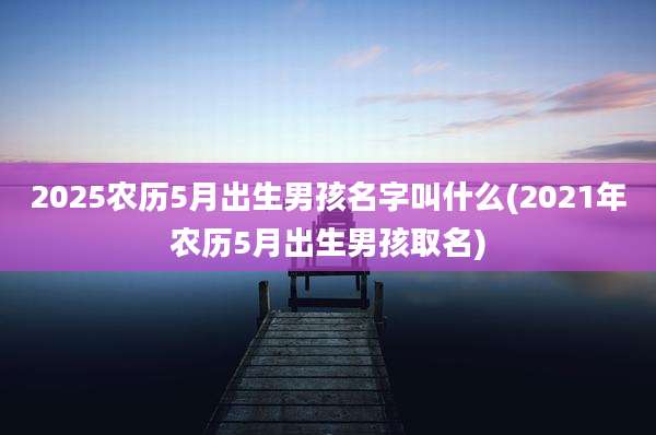 2025农历5月出生男孩名字叫什么(2021年农历5月出生男孩取名)