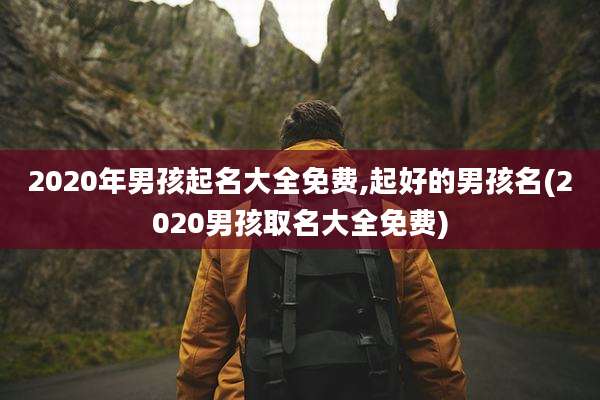 2020年男孩起名大全免费,起好的男孩名(2020男孩取名大全免费)