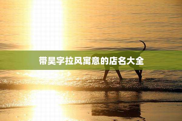 带昊字拉风寓意的店名大全