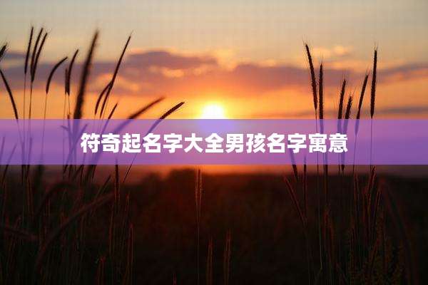 符奇起名字大全男孩名字寓意
