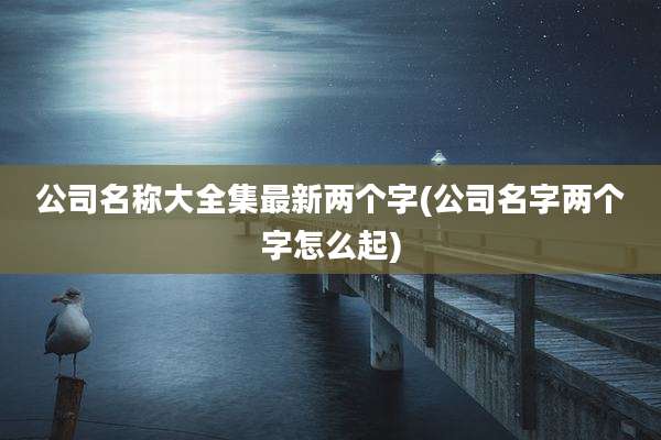 公司名称大全集最新两个字(公司名字两个字怎么起)