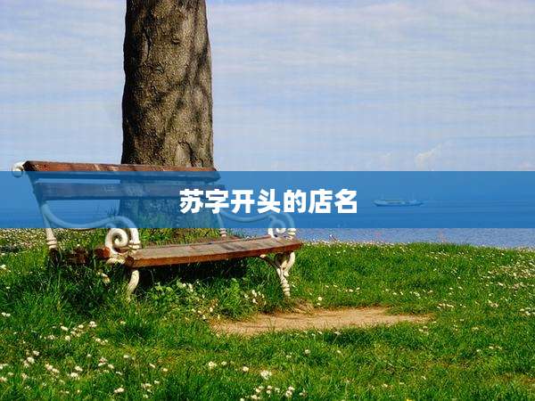 苏字开头的店名