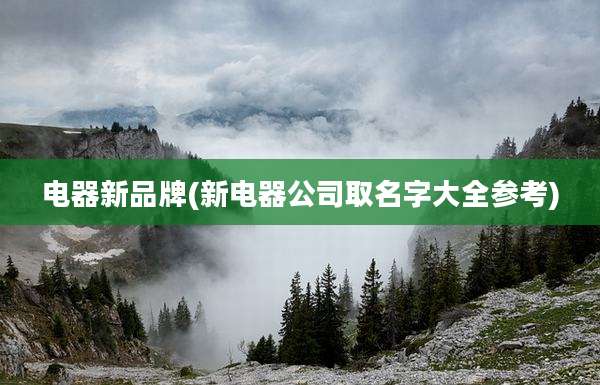 电器新品牌(新电器公司取名字大全参考)
