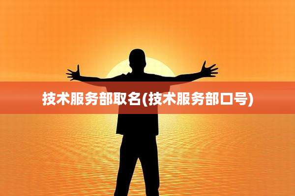 技术服务部取名(技术服务部口号)