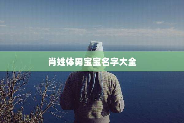肖姓体男宝宝名字大全