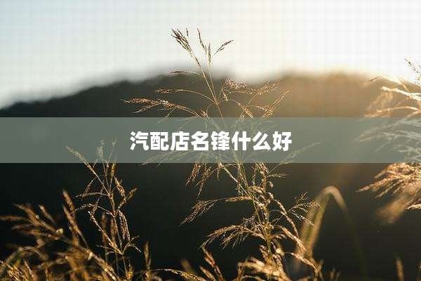汽配店名锋什么好