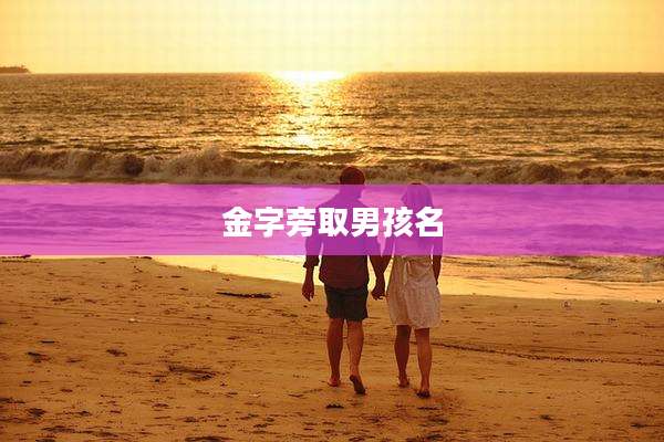 金字旁取男孩名