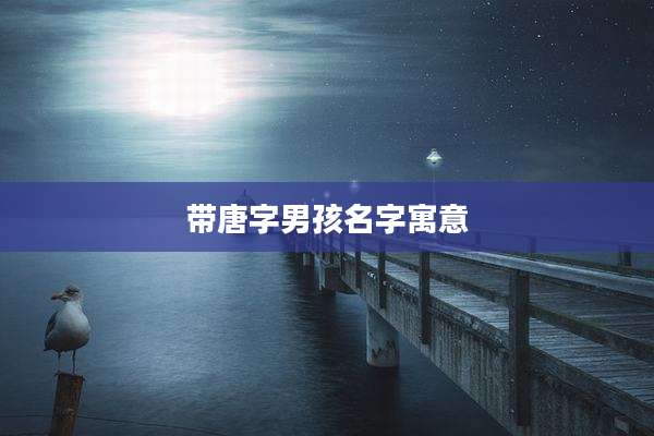 带唐字男孩名字寓意