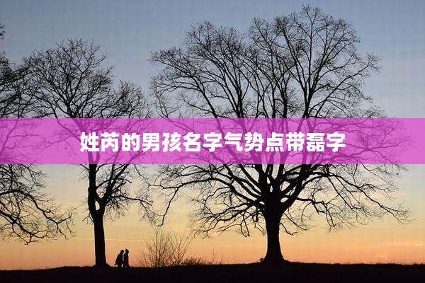 姓芮的男孩名字气势点带磊字