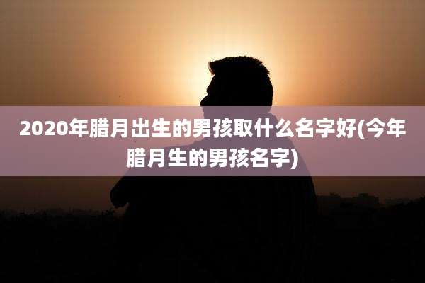 2020年腊月出生的男孩取什么名字好(今年腊月生的男孩名字)