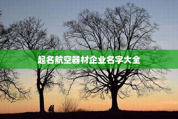 起名航空器材企业名字大全