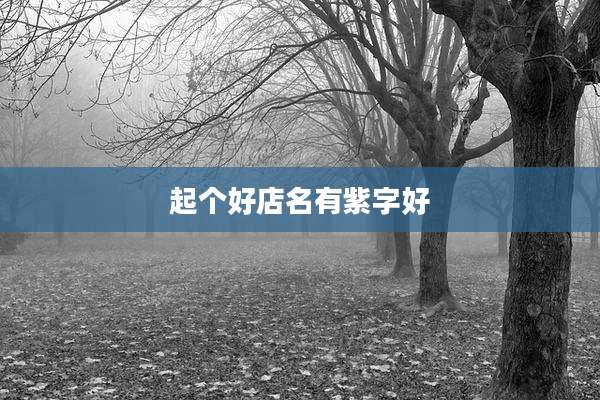 起个好店名有紫字好