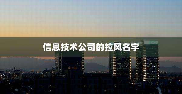 信息技术公司的拉风名字