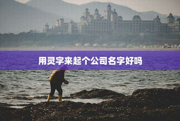 用灵字来起个公司名字好吗