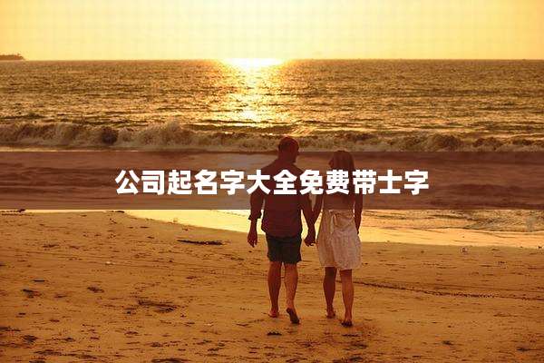 公司起名字大全免费带士字